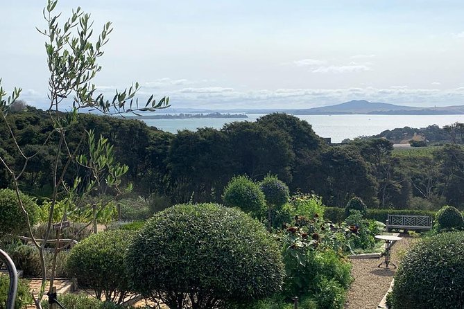 Waiheke Island Vineyards and Bush Walk - What the Group Size Changes for Your Day