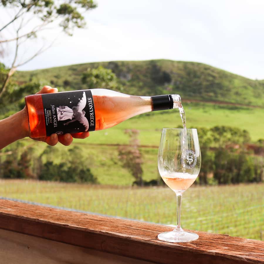 Waiheke Island: Wine Tour & Lunch at Award Winning Venue - Quick Take: what makes this Waiheke wine day hit right