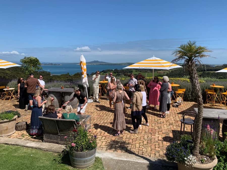 Waiheke Island: Wine Tour & Lunch at Award Winning Venue - Final booking advice: when to choose this Waiheke wine tour