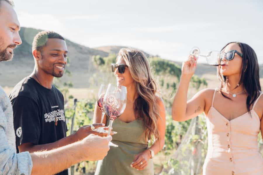 Waiheke Island: Wine Tour & Lunch at Award Winning Venue - The three-vineyard tasting format: what you’ll actually taste