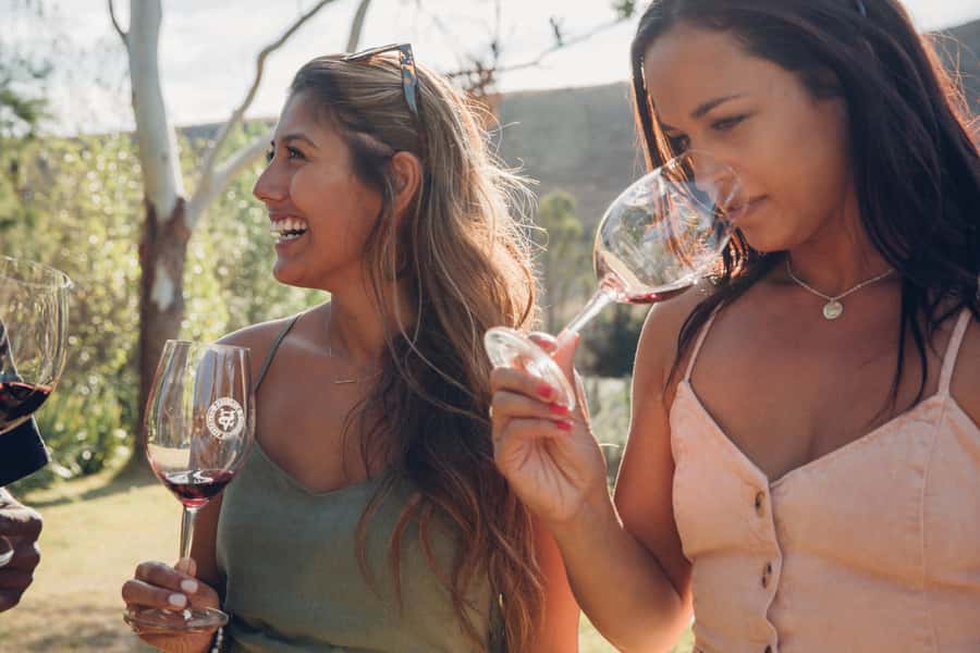 Waiheke Island: Wine Tour & Lunch at Award Winning Venue - Lunch at 372 in Onetangi: where the day becomes memorable