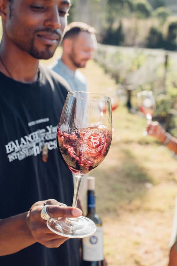 Waiheke Island: Wine Tour & Lunch at Award Winning Venue - Price and value: why $173 can work out well