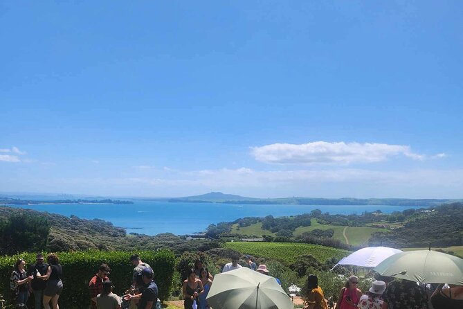 Waiheke Island Wine Tour with Tastings & Gourmet Beachfront Lunch - Key things that make this tour worth your time