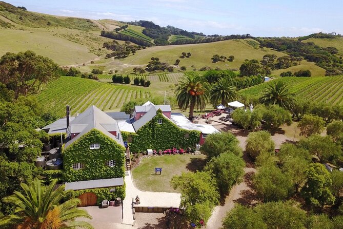 Waiheke Island Wine Tour with Tastings & Gourmet Beachfront Lunch - Stonyridge Vineyard, or the backup tasting option