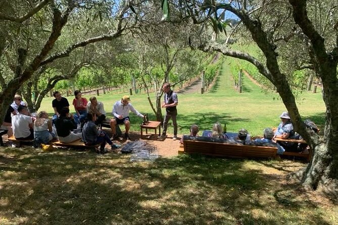 Waiheke Island Wine Tour with Tastings & Gourmet Beachfront Lunch - The guide and group size: why it feels organized
