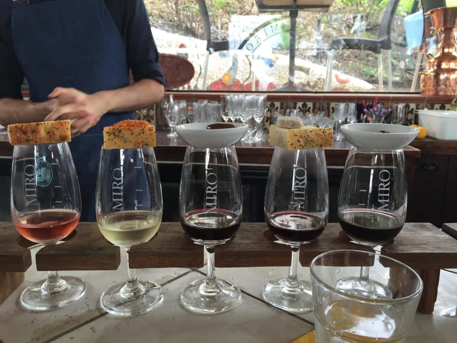 Waiheke Island Wine Tours - PREMIUM Wines - Max 11 clients ! - Key highlights worth planning for