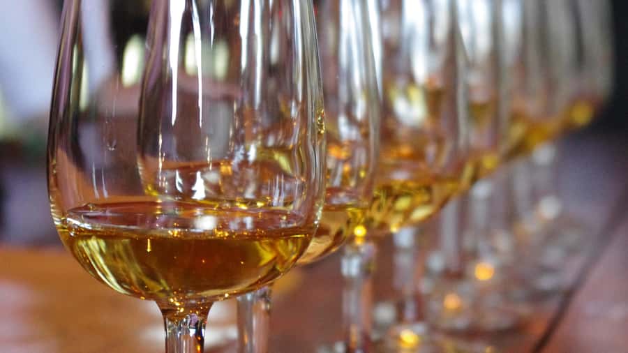 Waiheke Island Wine Tours - PREMIUM Wines - Max 11 clients ! - The 6-hour rhythm: how the day stays balanced