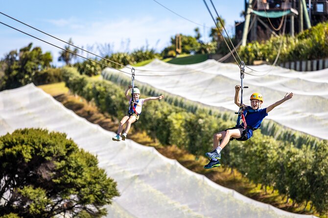 Waiheke Island: Zipline And Forest Walk - The forest walk back: where the tour turns educational
