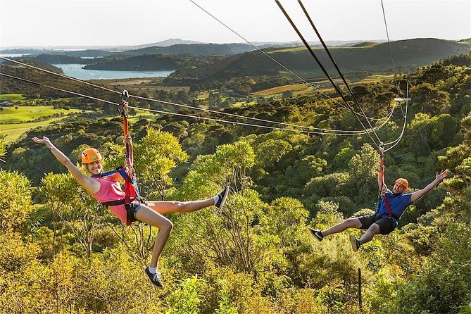 Waiheke Island: Zipline And Forest Walk - Price and value: what you pay, what you should add to your budget