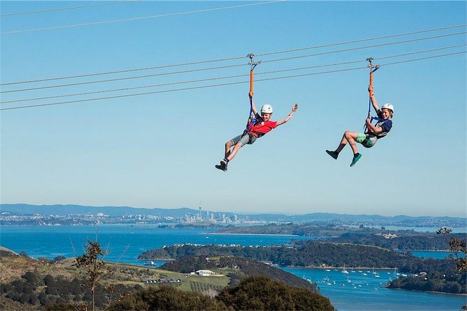 Waiheke Island: Zipline And Forest Walk - Who should book this (and who should double-check first)