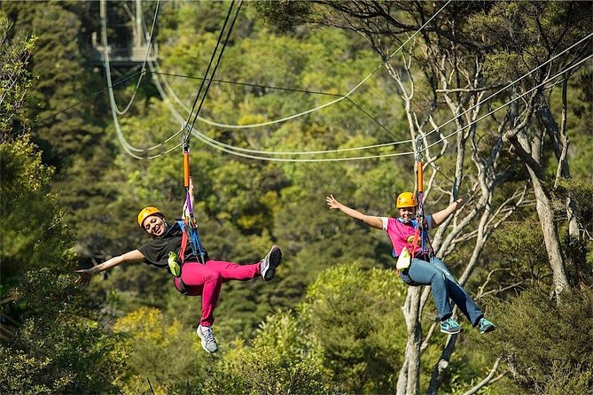 Waiheke Island: Zipline And Forest Walk - Tips that make a real difference on the day