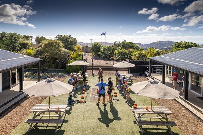 Waiheke Island: Zipline And Forest Walk - Three zipline flights: how the route builds from easy to thrilling