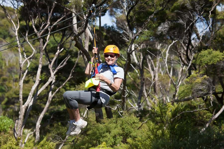 Waiheke Island: Zipline and Native Forest Adventure Trip - Should you book EcoZip Adventures on Waiheke?