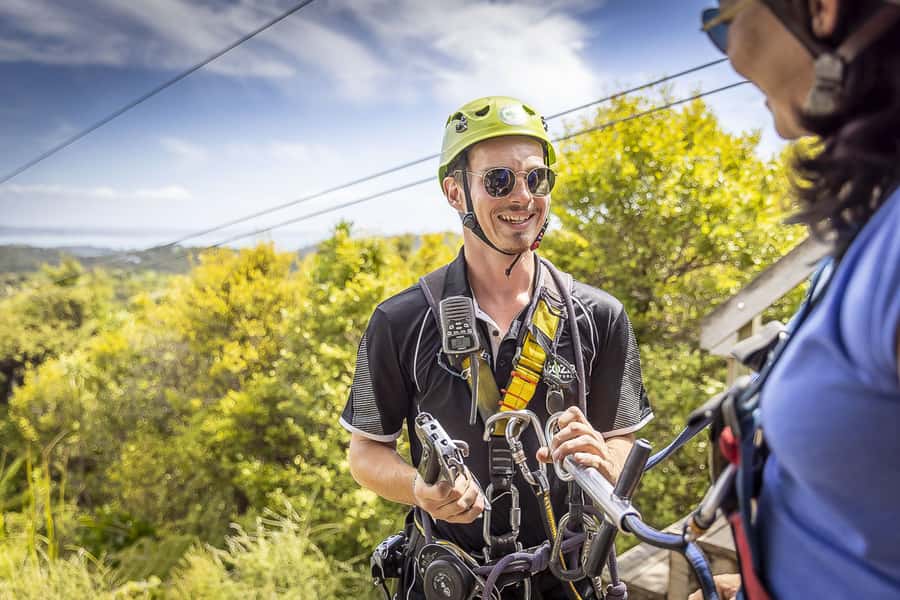 Waiheke Island: Zipline and Native Forest Adventure Trip - Safety, gear, and why this runs smoothly when you follow instructions