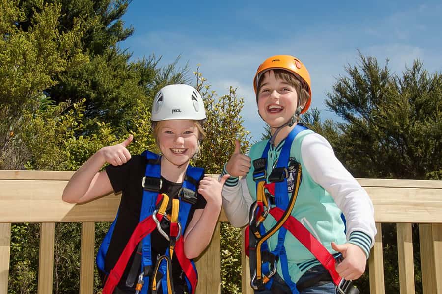 Waiheke Island: Zipline and Native Forest Adventure Trip - Who should book this zipline and native forest adventure, and who should skip it