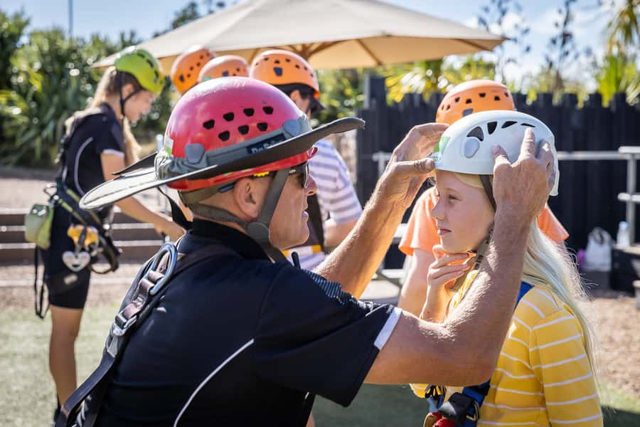 Waiheke Island: Zipline and Native Forest Adventure Trip - The 3 dual ziplines, line by line, and why the order matters