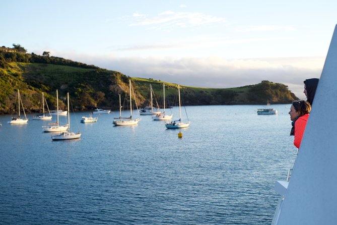 Waiheke Wine and Dine - Batch Winery - Batch Winery Lunch: Where the Day Hits the Best Balance