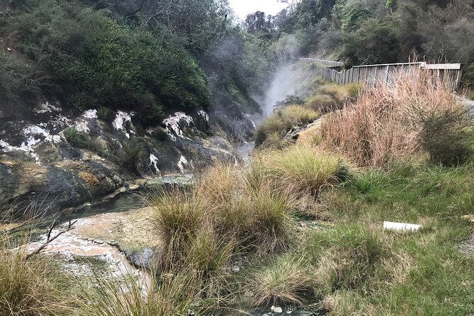Waimangu Geothermal Valley & Lake Rotomahana Tour – 7hrs - Key highlights you’ll feel in your day