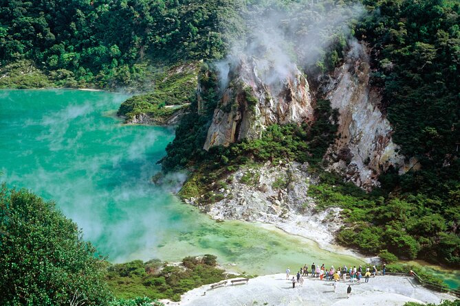 Waimangu Geothermal Valley & Lake Rotomahana Tour – 7hrs - Getting to Waimangu from the Port of Tauranga, without the hassle