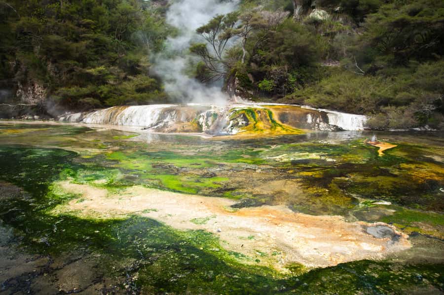 Waimangu: Volcanic Valley Walk and Lake Rotomahana Cruise - Price and timing: is $107 worth it for your day?