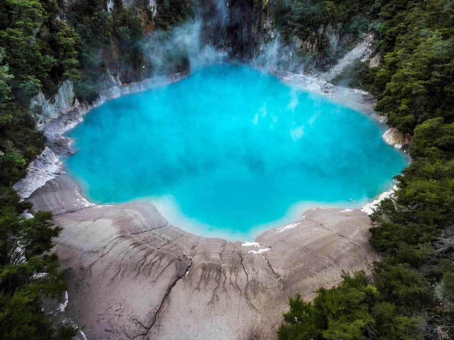 Waimangu: Volcanic Valley Walk and Lake Rotomahana Cruise - Frying Pan Lake and Inferno Crater: the big geothermal sights you will remember