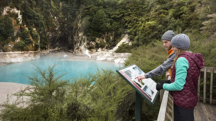 Waimangu: Volcanic Valley Walk and Lake Rotomahana Cruise - Starhill Crater, Patiti Island, and spotting birdlife from the lake