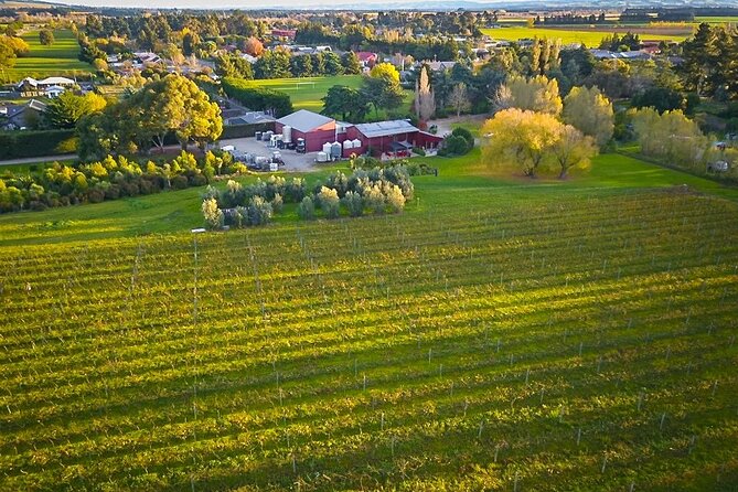 Waipara Valley Winery Tour Wine Tastings and Scenic Views - Stop 1: Pegasus Bay Winery and Deli for a polished first tasting