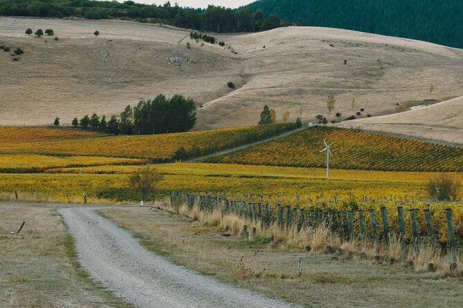 Waipara Valley Winery Tour Wine Tastings and Scenic Views - Price and value: what $235.20 actually buys you