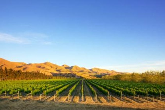 Waipara Wine Tour from Christchurch - including Lunch & Tastings - Getting From Cathedral Square to Waipara in One Easy Ride