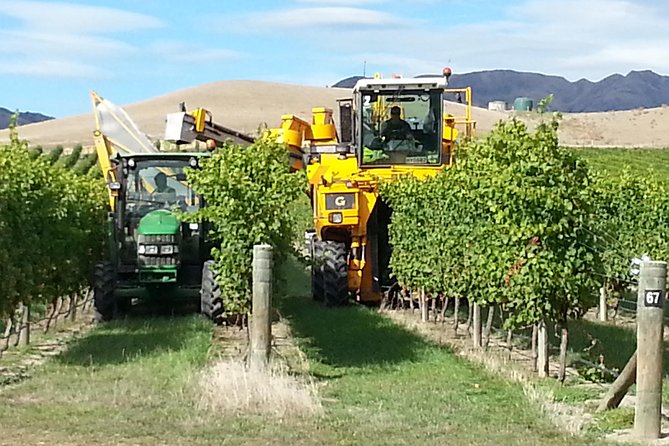 Waipara Wine Tour from Christchurch - including Lunch & Tastings - Waipara Springs Winery, A Classic Stop That Usually Hits the Right Notes