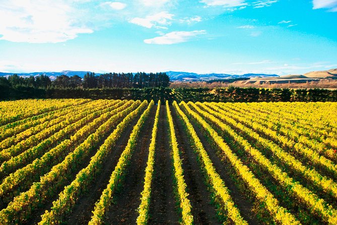 Waipara Wine Tour from Christchurch - including Lunch & Tastings - Pegasus Bay Winery and Deli, Family-Made Since the Seventies