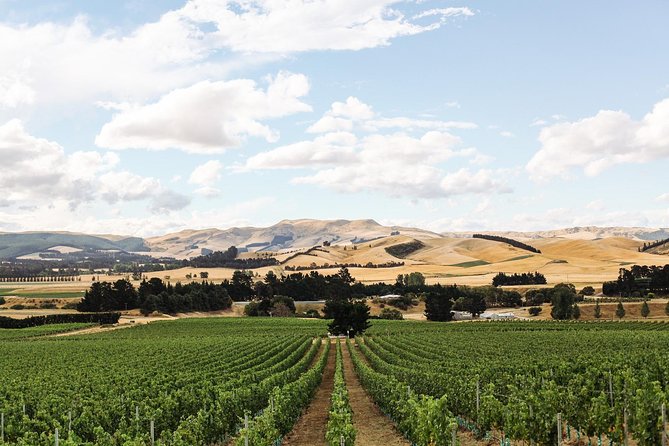 Waipara Wine Tour from Christchurch - including Lunch & Tastings - How the Tasting Works, and How to Get the Most From It