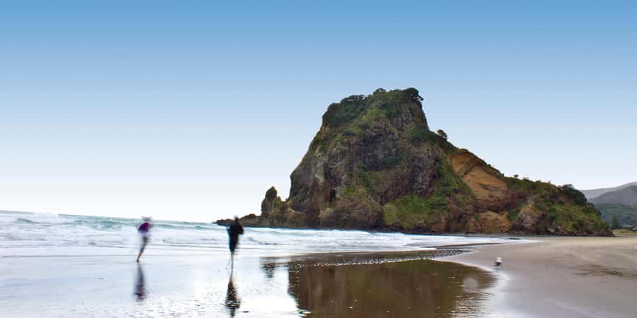 Waitakere Ranges Wilderness Experience Tour from Auckland - From Auckland to Waitakere Ranges: the drive that sets the mood