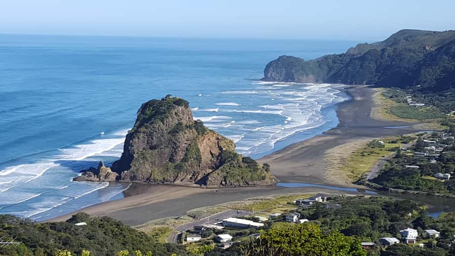 Waitakere Ranges Wilderness Experience Tour from Auckland - Kiwi-style afternoon tea: the warm reset before the return
