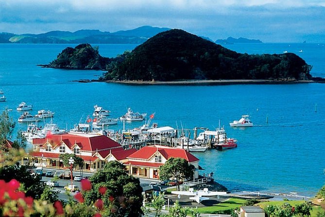 Waitangi Treaty Ground Day Trip Private Transport From Auckland - Key highlights you will actually care about