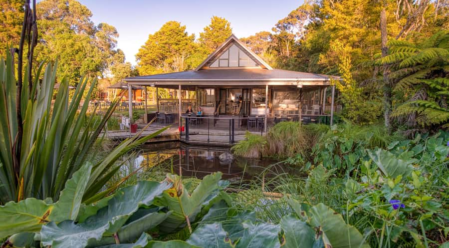 Waitangi Treaty Grounds: 2-Day Pass - Self-Guided Bush Walks for Bay of Islands Views