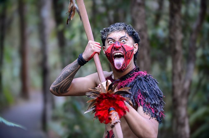 Waitangi Treaty Grounds: Combo Pass (Hāngī + Concert + Admission) - Admission and what to do with it before the show