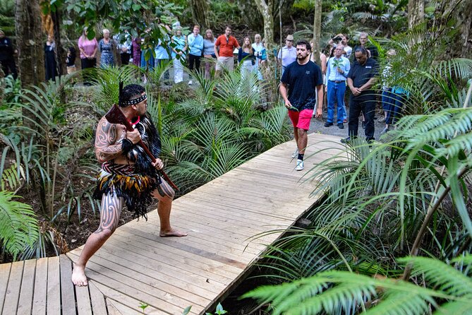 Waitangi Treaty Grounds: Combo Pass (Hāngī + Concert + Admission) - How the evening runs: transfers, Whare Waka Café, and timing