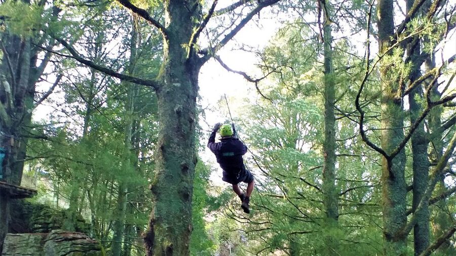 Waitomo Caves 1-Kilometer-Long Zipline Tour - The 10-line zipline course, from trees to the big finale