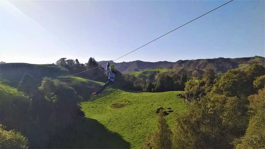 Waitomo Caves 1-Kilometer-Long Zipline Tour - What you get for $83: value check before you book