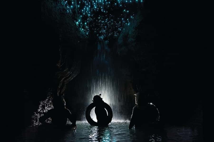 Waitomo Caves Black Abyss Ultimate Caving Experience - Price and value: what $192 buys in the real world