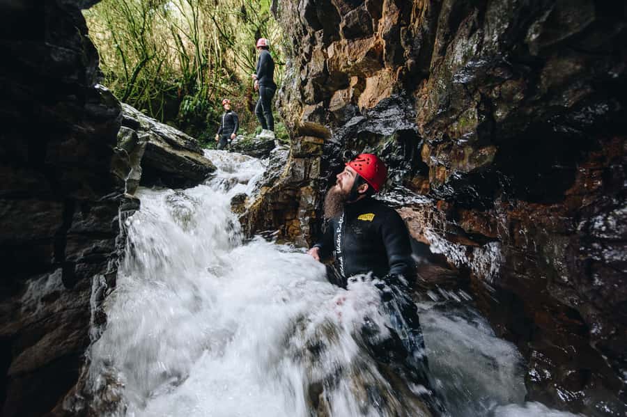 Waitomo Caves Black Abyss Ultimate Caving Experience - Cold water, warm reward: what the 10-14°C temperature means