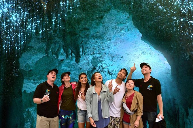 Waitomo Caves & Hobbiton Small Group Tour inc Lunch from Auckland - Price and value: what $235.20 includes and why it matters