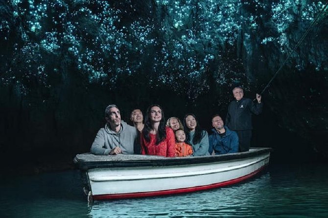 Waitomo Caves Private Driver for Tour - Key highlights worth knowing