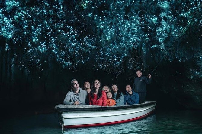 Waitomo Caves Private Tour from Auckland - Quick hits: what makes this Waitomo tour a smart value