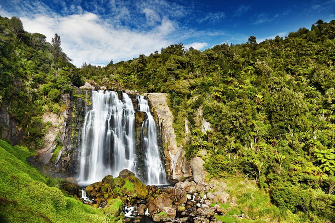 Waitomo Caves Private Tour from Auckland - Exploring the cave complex on foot, and your chance at Cathedral Cave