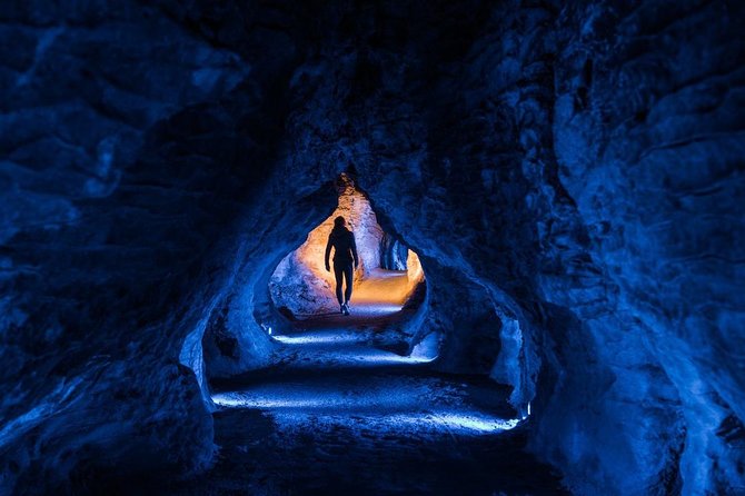Waitomo Caves Private Tour from Auckland - Price and value: what $216.58 per person includes