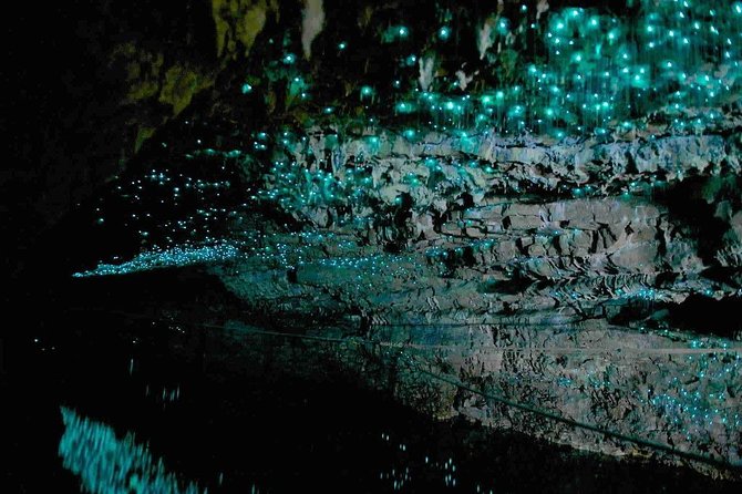 Waitomo Caves Private Tour from Auckland - Service quality: what the guide experience gets right, and what can go wrong