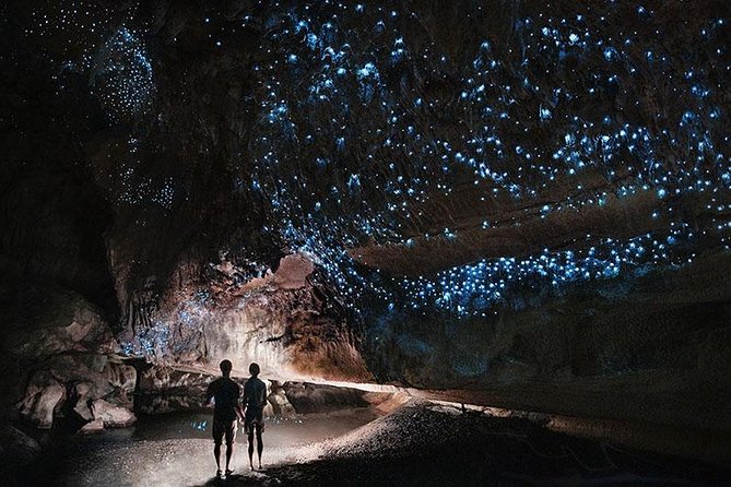 Waitomo Caves Private Tour from Auckland - Stop 1: the Glowworm Caves with a guided walk and a silent boat ride