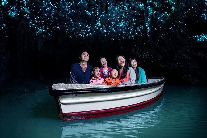 Waitomo Caves & Rotorua - Te Puia Small-Group Tour from Auckland - Te Puia geothermal park in 90 minutes: culture plus geothermal action